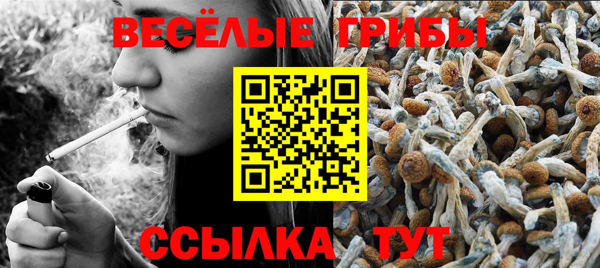 Белореченск  продажа наркотиков  Вход с VPN  Псилоцибиновые грибы мицелий 