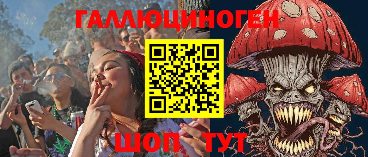 Галлюциногенные грибы Psilocybe Белореченск